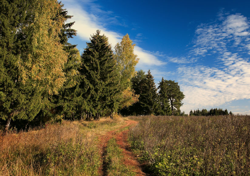 photo "***" tags: landscape, autumn