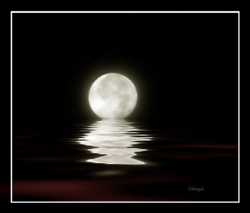 photo "moon view" tags: nature, 