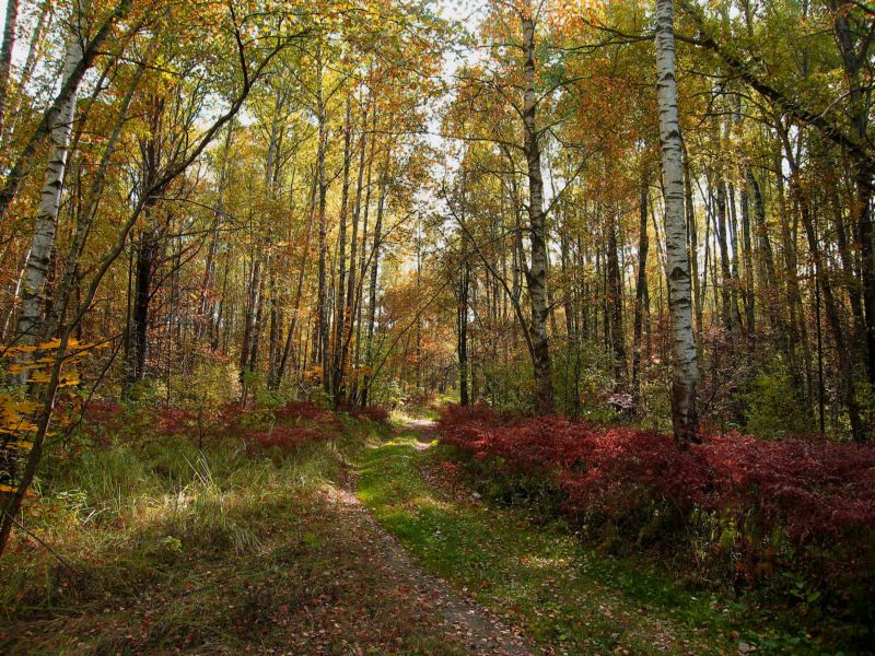 photo "***" tags: landscape, autumn