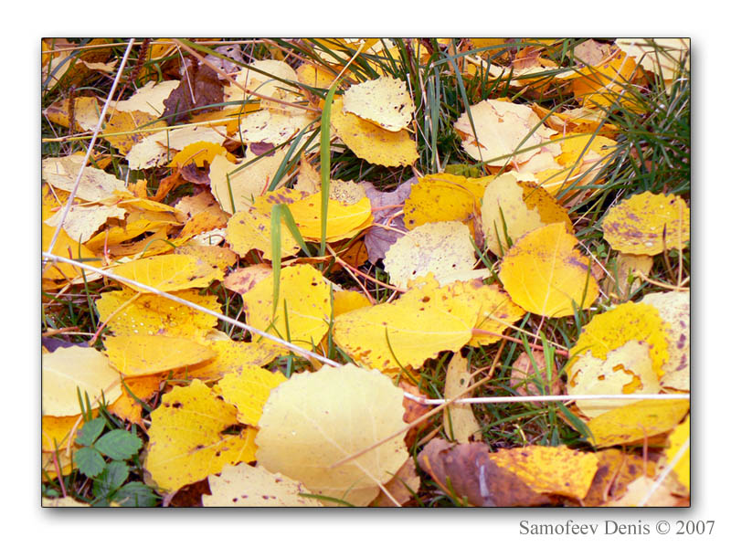photo "Autumn" tags: nature, landscape, autumn