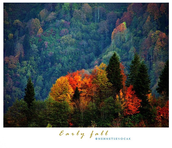 фото "Early fall" метки: пейзаж, природа, осень, цветы