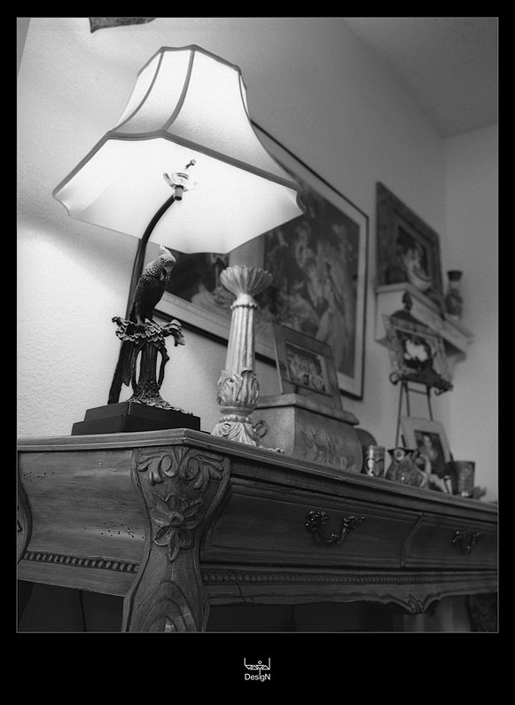 photo "bird's lighting" tags: black&white, interior, 