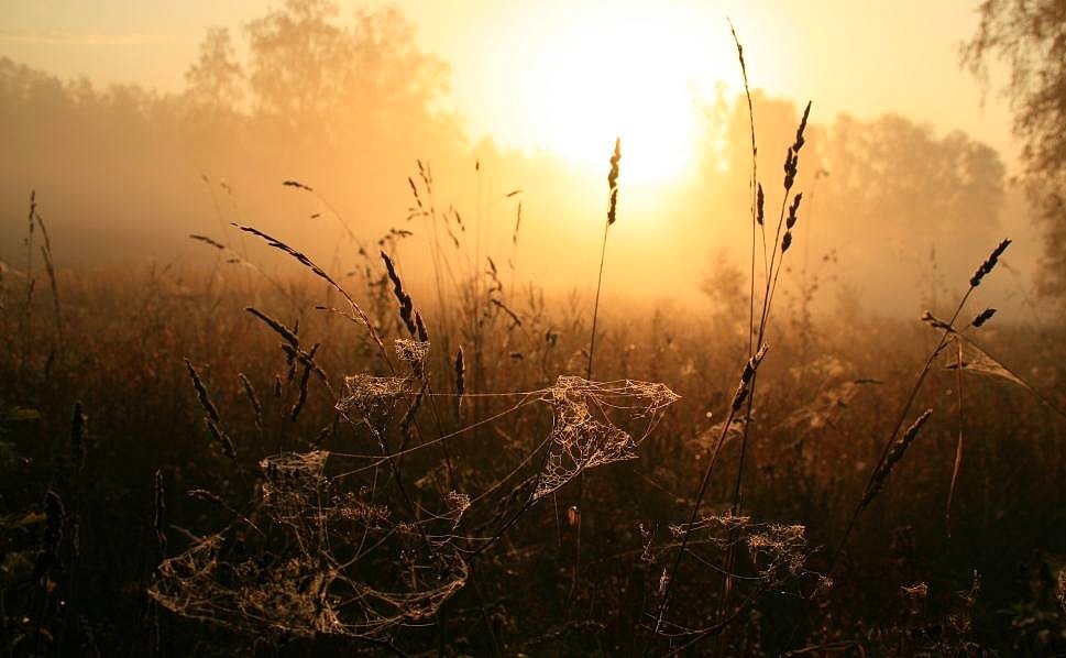 фото "Ловушки для сталкера" метки: пейзаж, закат, осень