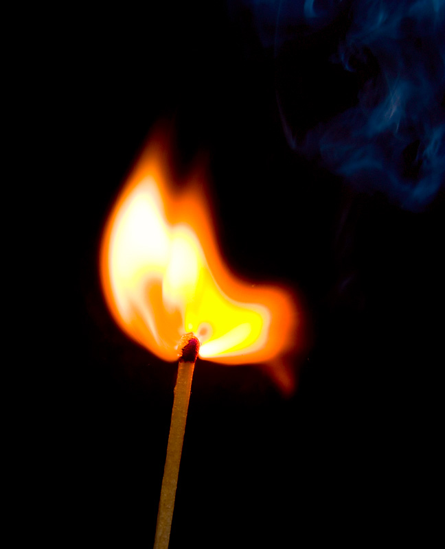 photo "Applicability." tags: macro and close-up, still life, 