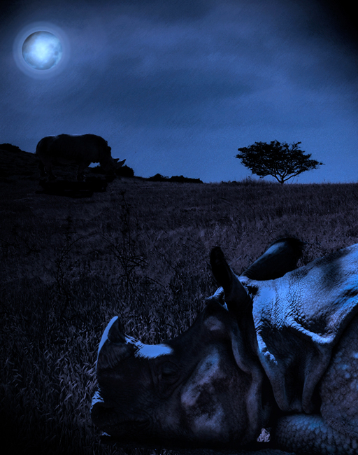 photo "Serengeti.Rhinoceros and Moon..." tags: nature, travel, Africa, wild animals