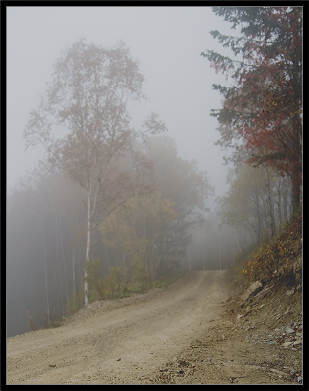 фото "в тумане" метки: пейзаж, лес, осень