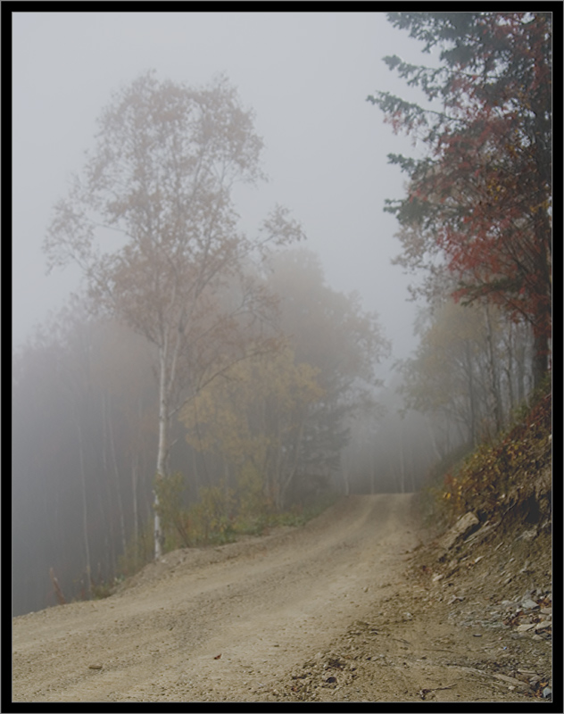 photo "***" tags: landscape, autumn, forest