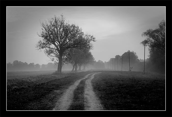 фото "Slavonija..." метки: пейзаж, 