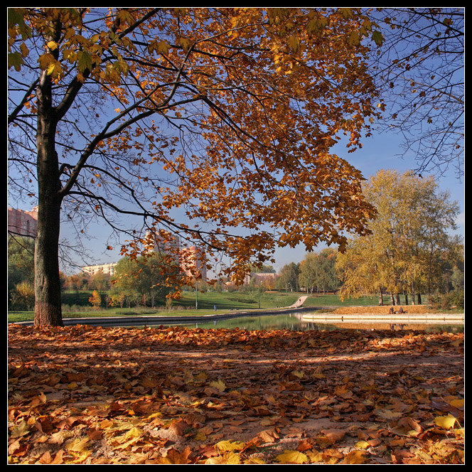 photo "Autumn in my town" tags: , 
