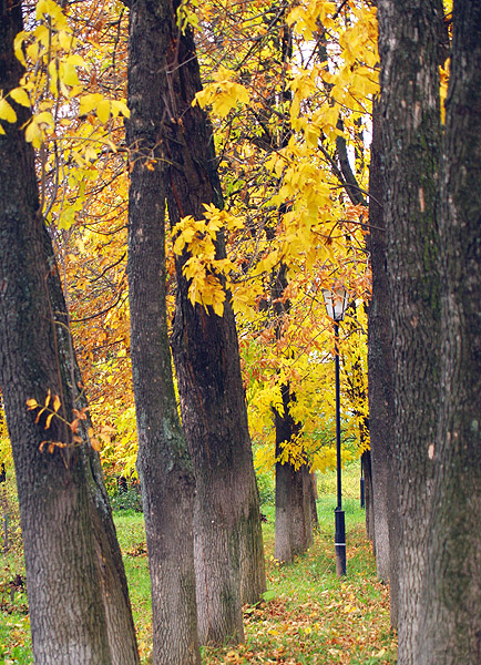 photo "***" tags: landscape, autumn