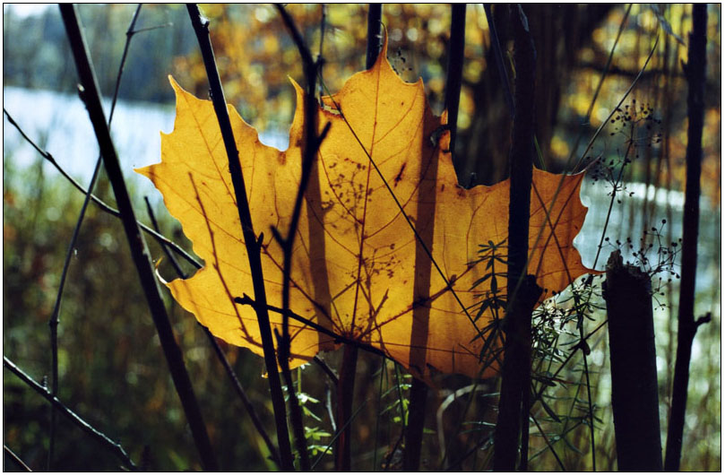 photo "***" tags: landscape, autumn