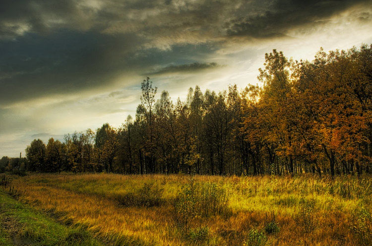 photo "_wonder" tags: landscape, autumn