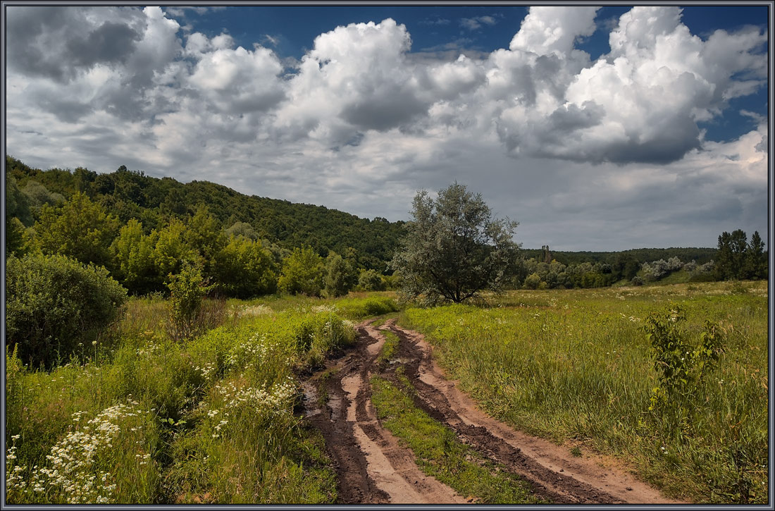 photo "***" tags: landscape, forest