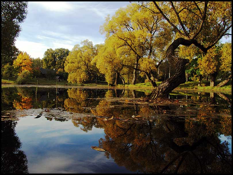 photo "Upon mirror dawn" tags: landscape, autumn, water