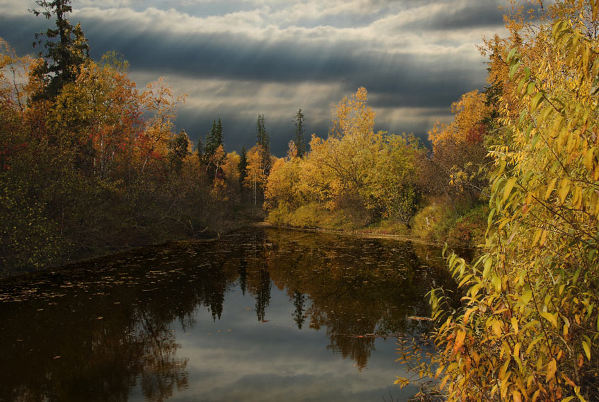 photo "***" tags: landscape, autumn, forest