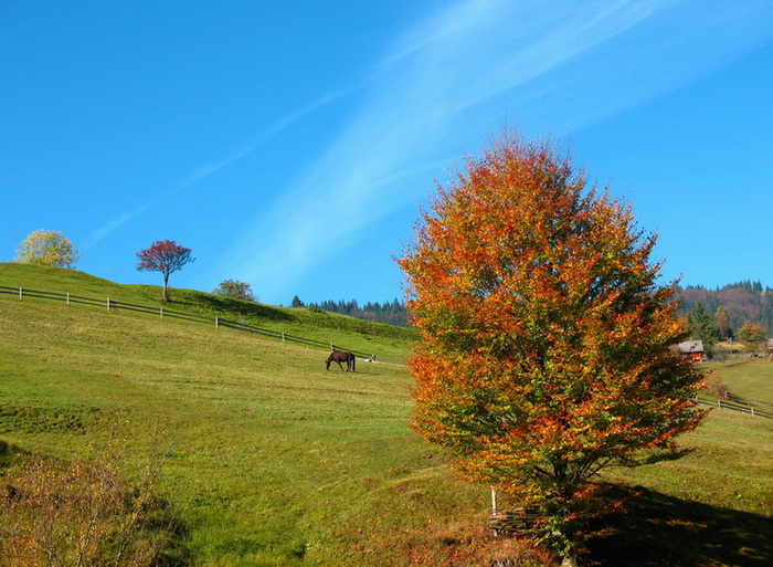 фото "Краски осени" метки: пейзаж, природа, осень