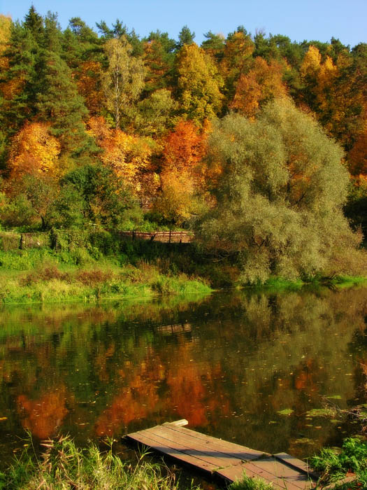 photo "Colors of gold autumn" tags: landscape, autumn