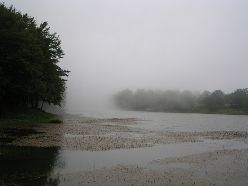 фото "The fog come to the lake" метки: пейзаж, вода, осень