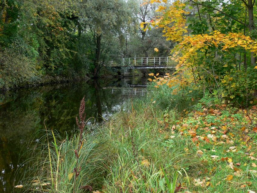 photo "Silent autumn." tags: landscape, nature, autumn