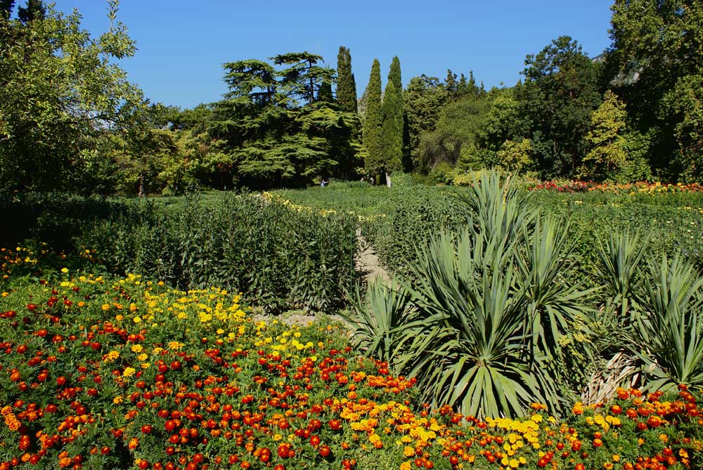 фото "В Никитском ботаническом саду" метки: природа, цветы