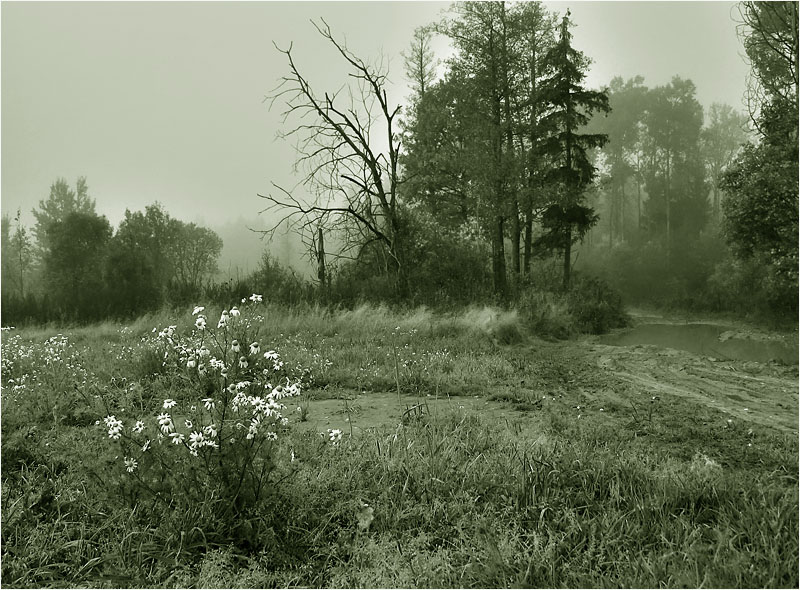 photo "***" tags: landscape, autumn