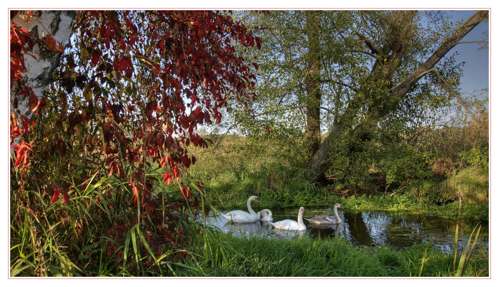 photo "summer end" tags: landscape, nature, autumn, wild animals