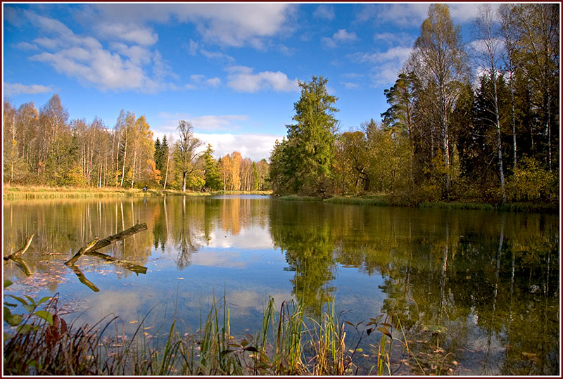 фото "гатчинский парк.осень..." метки: пейзаж, вода, осень