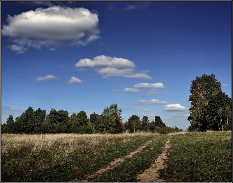 photo "Show me a way" tags: landscape, autumn