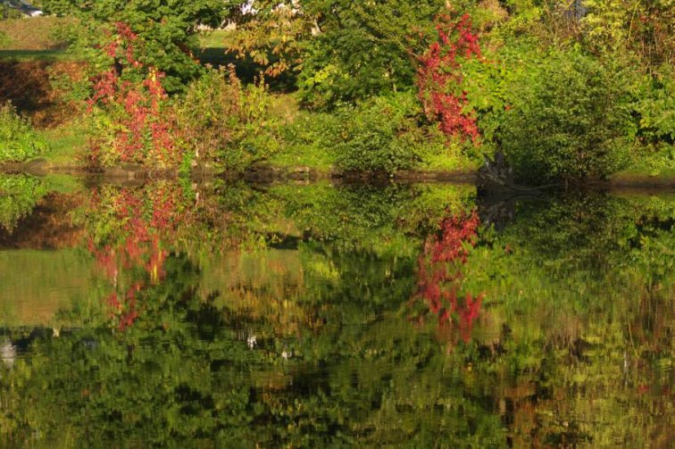 photo "First colours of autumn" tags: landscape, autumn, water