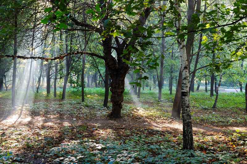 фото "В осеннем парке городском" метки: , 