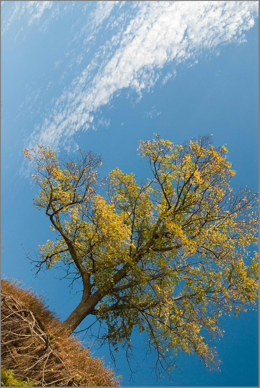 photo "***" tags: landscape, autumn