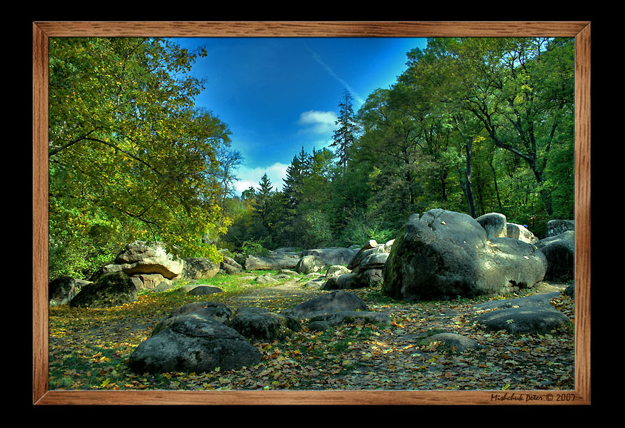 photo "Eliseyskye Polya" tags: landscape, autumn, forest