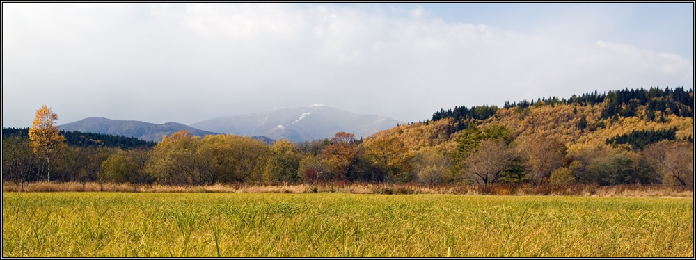 photo "***" tags: landscape, autumn, forest