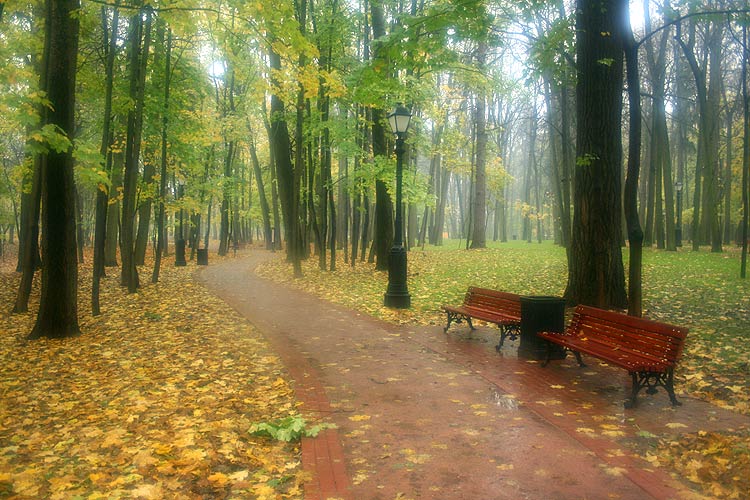 фото "Царицынская осень" метки: пейзаж, осень