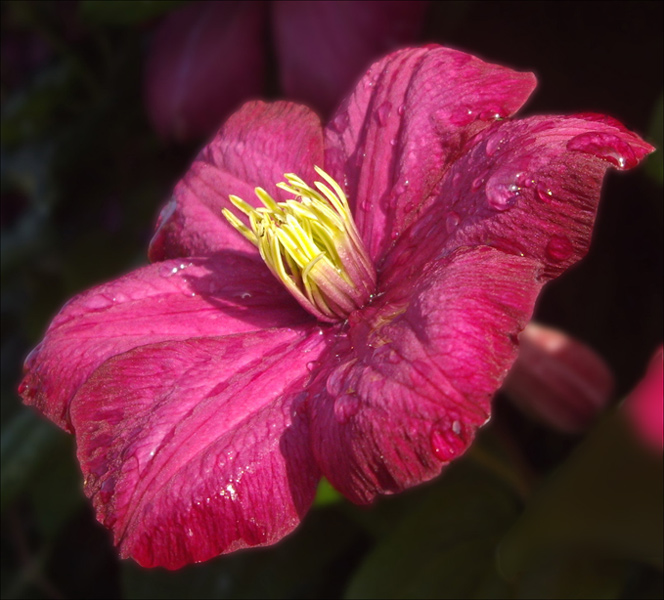 photo "***" tags: landscape, nature, autumn, flowers