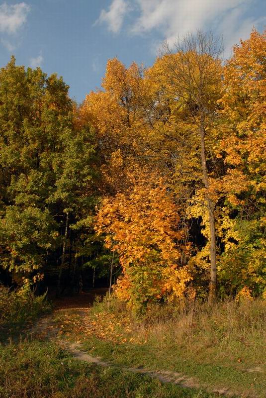 photo "***" tags: landscape, autumn