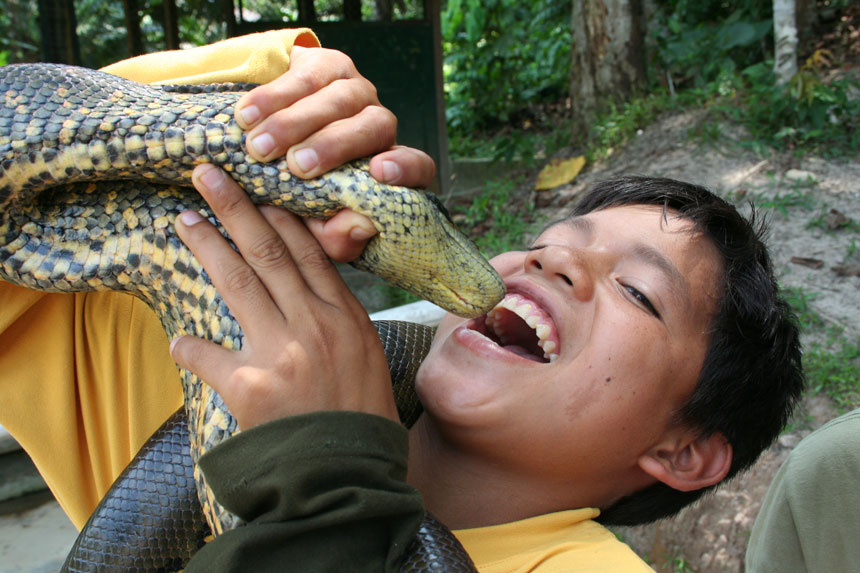 photo "Boa" tags: travel, nature, South America, pets/farm animals