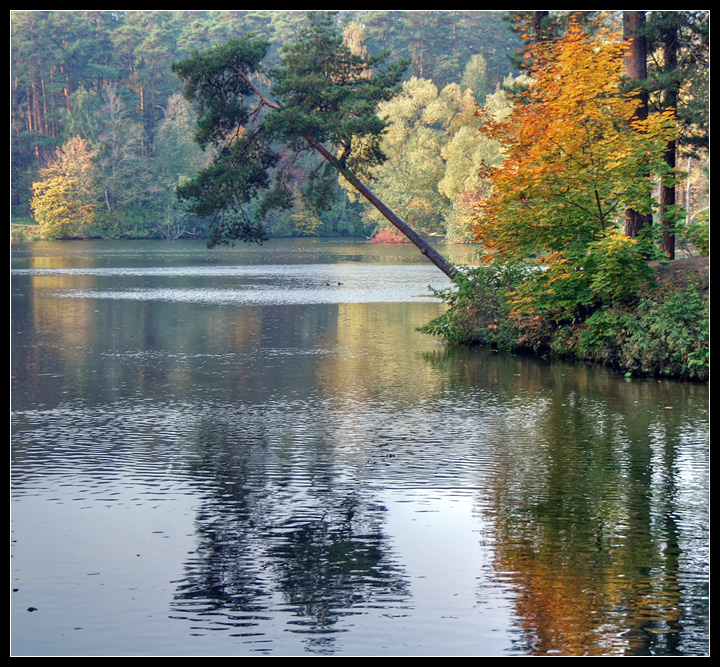 photo "narcissism" tags: landscape, autumn, water