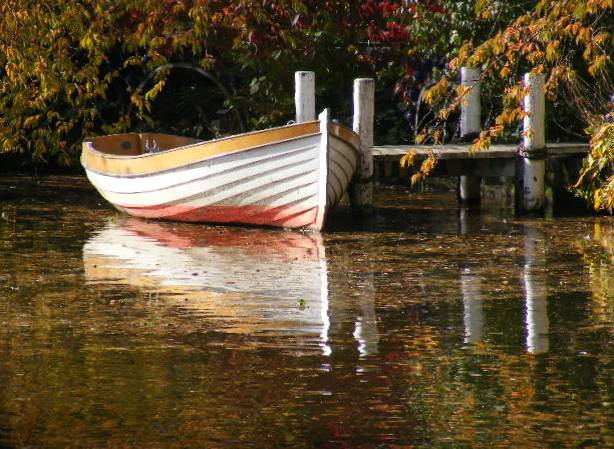 фото "Autumn in Copenhagen." метки: природа, 