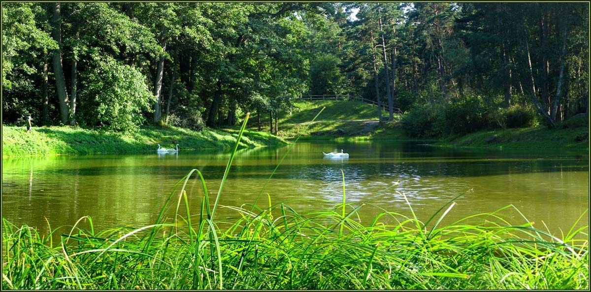 фото "Идиллия в зеленом мире" метки: пейзаж, лето