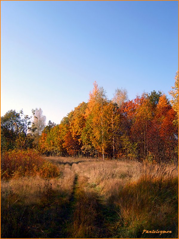 photo "Footpath at autumn" tags: landscape, autumn