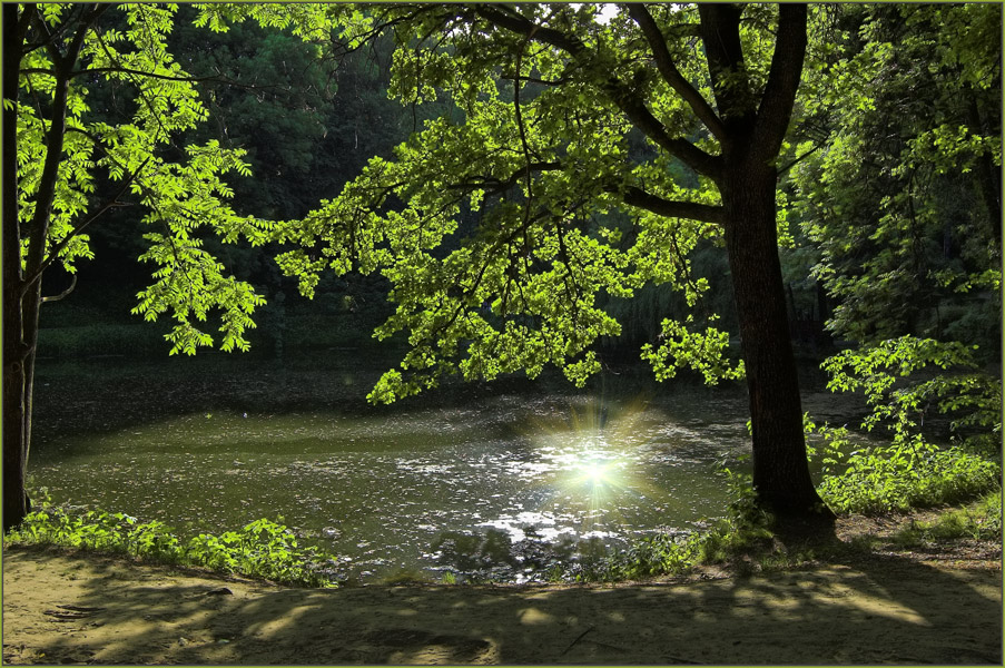 photo "the old pond" tags: landscape, 