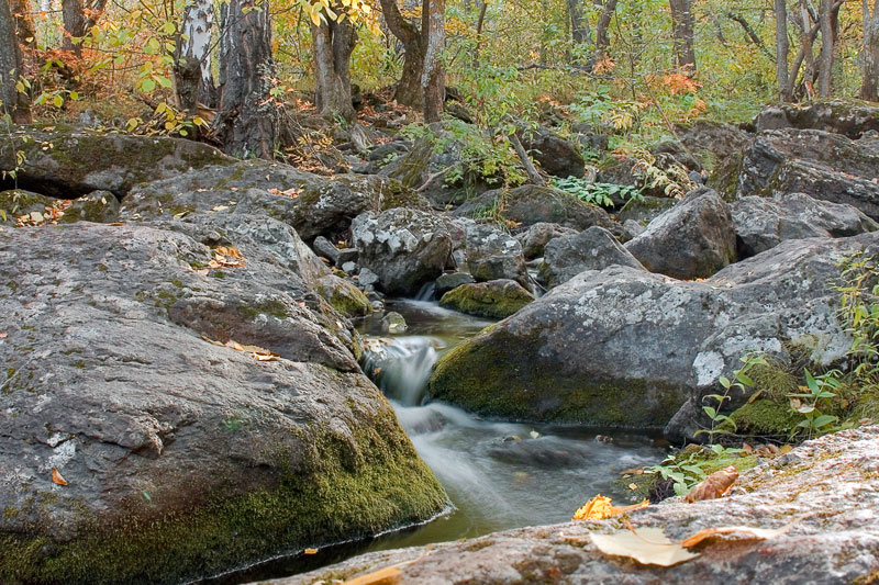 фото "Между камней" метки: природа, пейзаж, осень