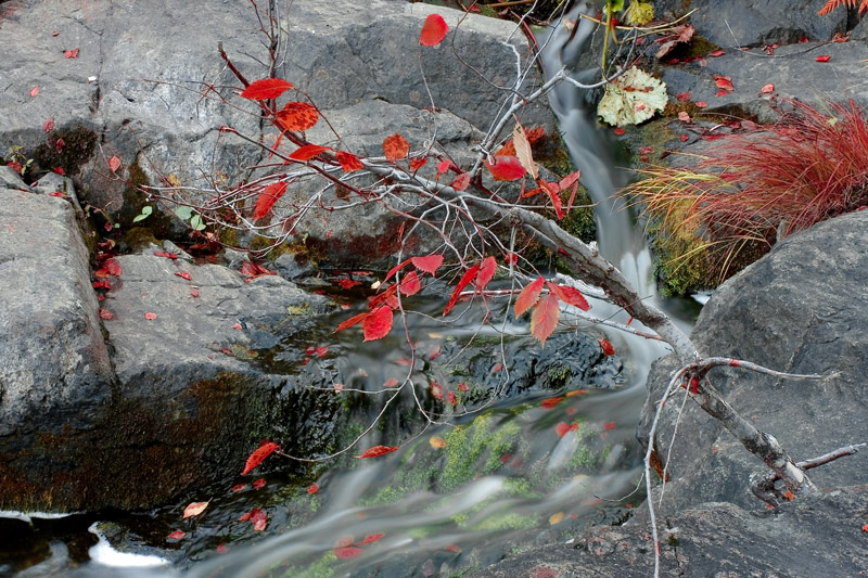 photo "***" tags: nature, landscape, autumn