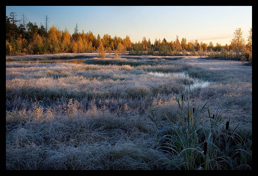 фото "Первый мороз" метки: пейзаж, 