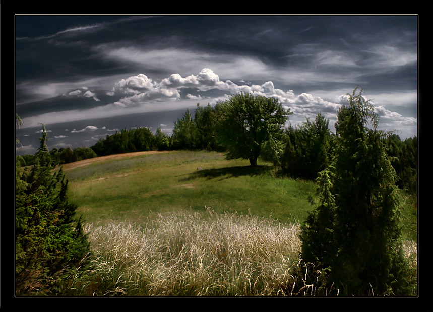 photo "West wind" tags: landscape, 