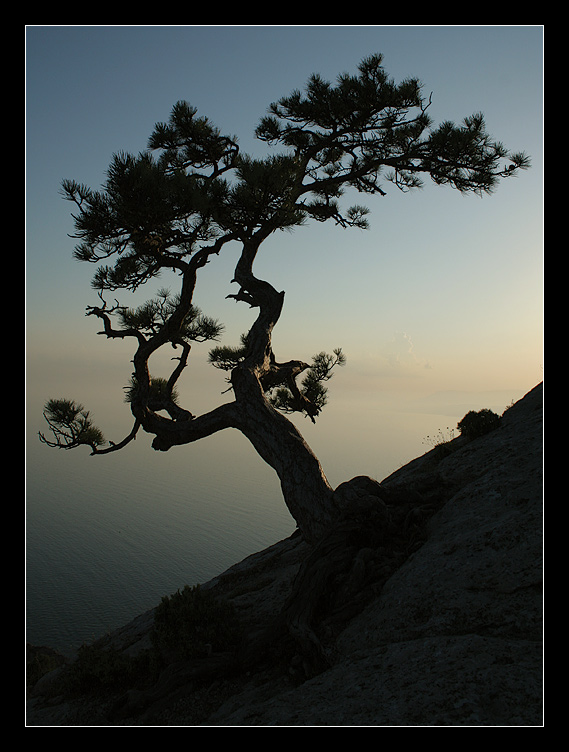 photo "Samurai" tags: landscape, 