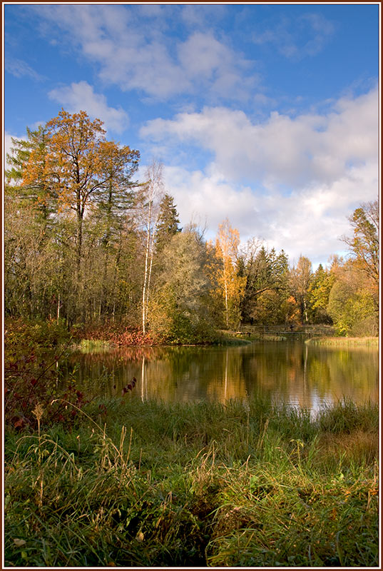 фото "гатчинский парк.осень...2" метки: пейзаж, вода, лес