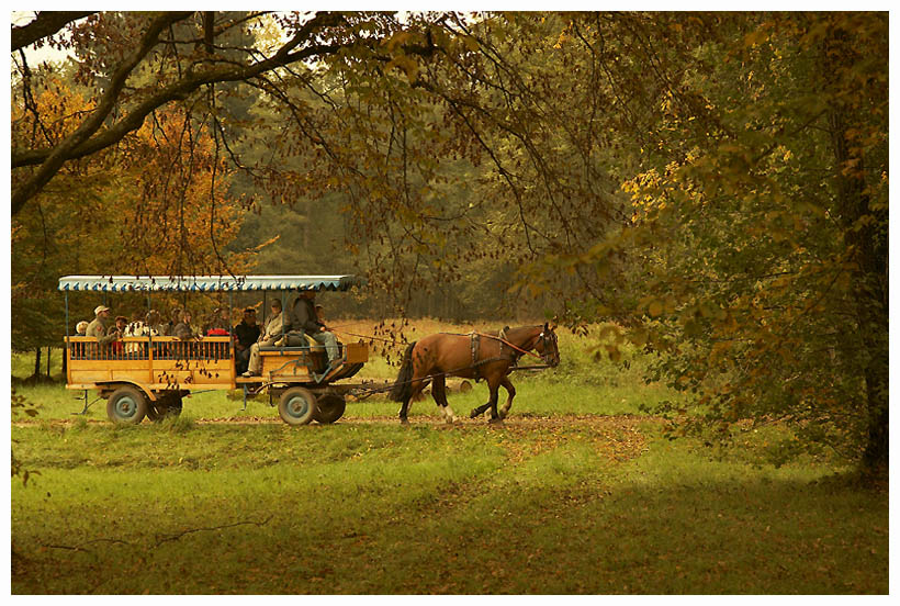 photo "****" tags: landscape, travel, Europe, autumn