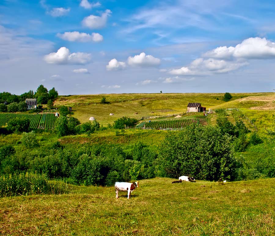 photo "***" tags: landscape, summer